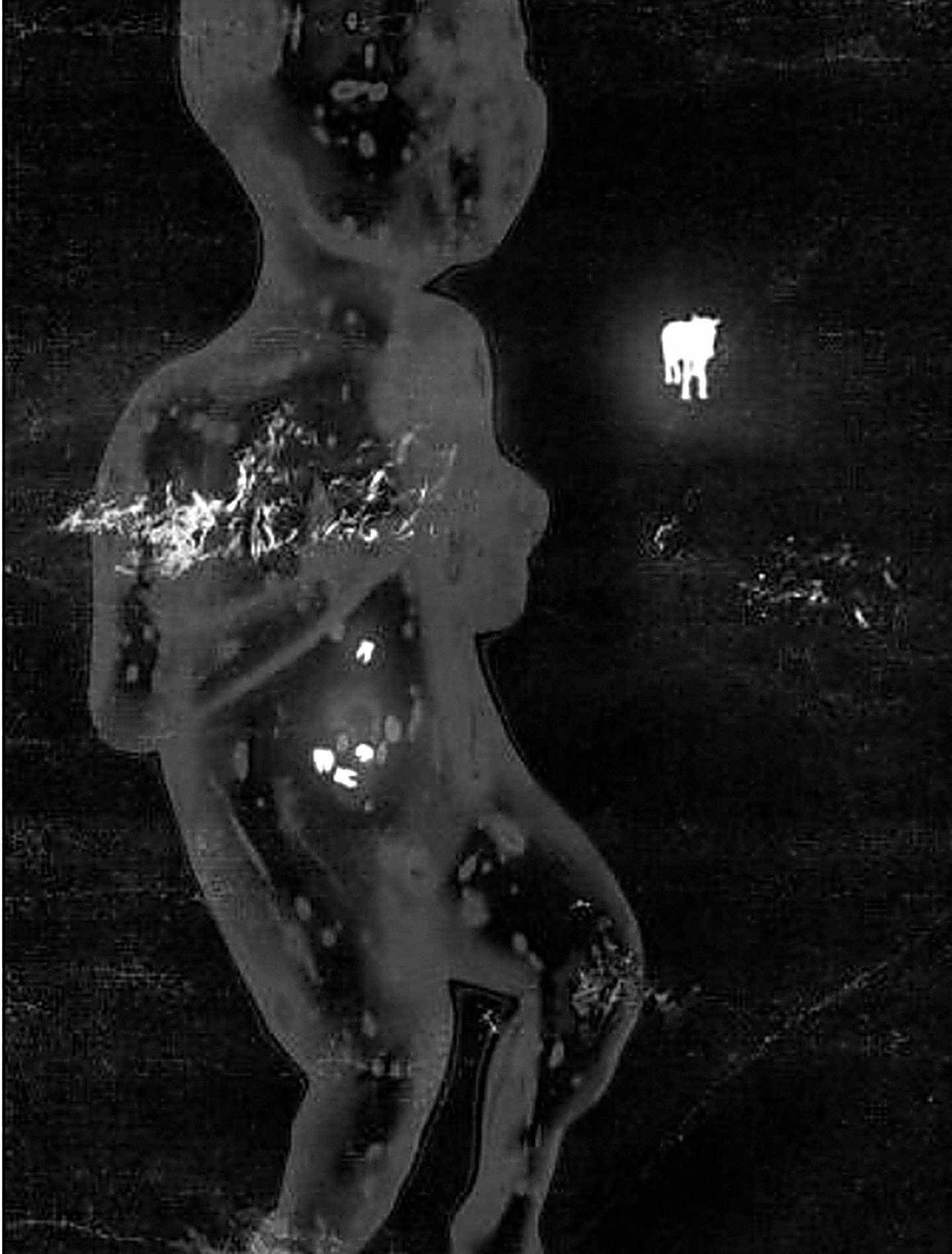 A ghostly, luminous figure in darkness, from Instant — the source image for the project index below.
